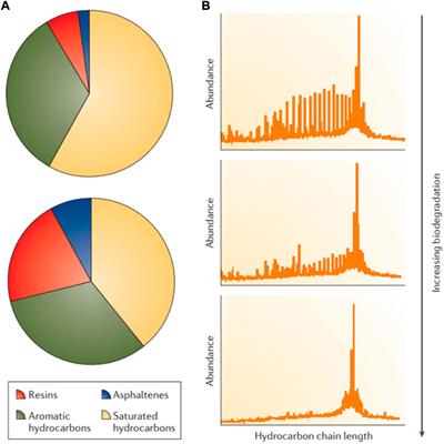 Effects of oil characteristics on the performance of shoreline response operations: A review